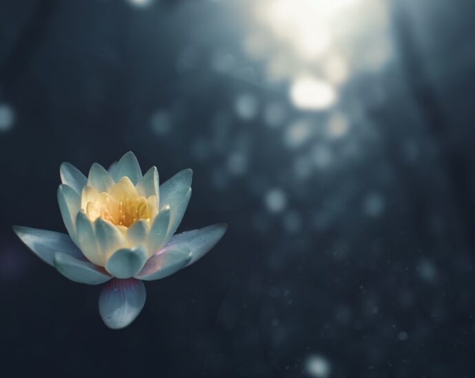 Photo Meditation