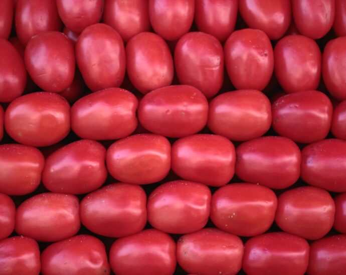 Photo Colorful vegetables