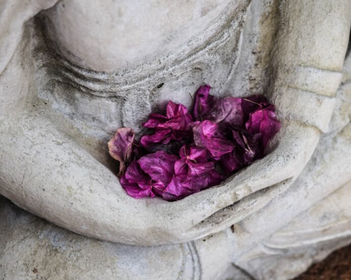 Photo Meditation