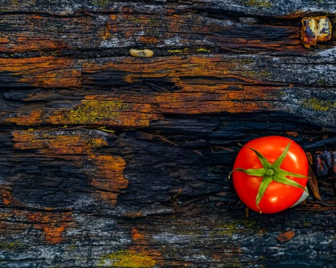 Photo Calcium-rich foods