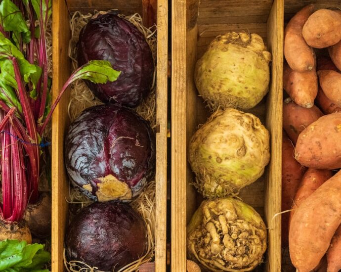 Photo Winter vegetables