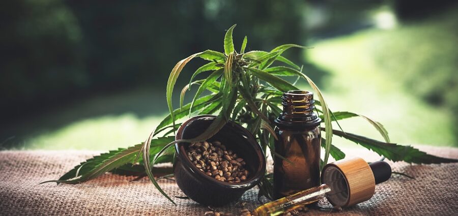 Photo "The complete guide to using alternative therapies in mental health"
