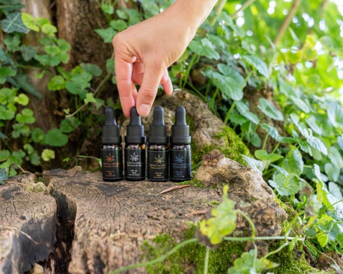 Photo cypress essential oil
