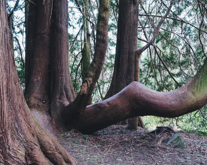 Photo naturist treatment