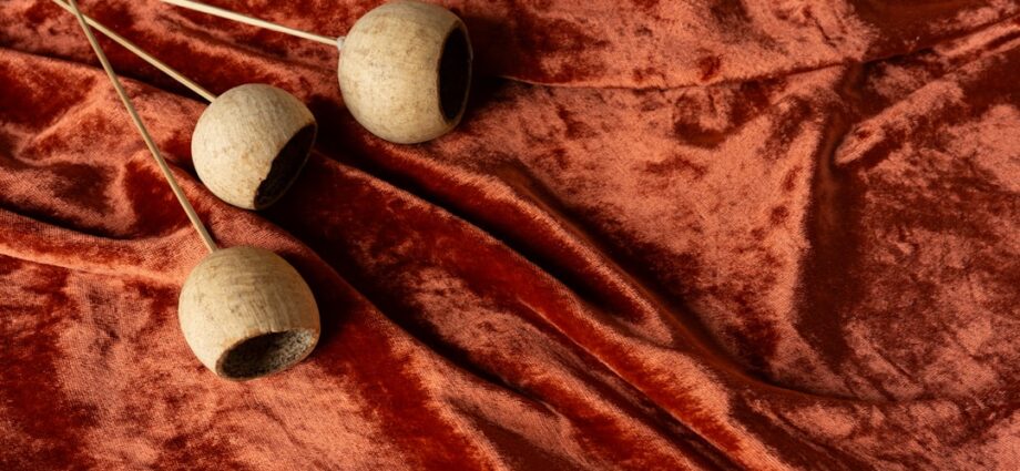 Photo gallbladder stones
