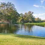 Photo lutein and zeaxanthin