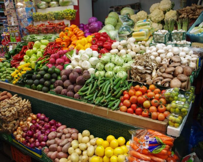 Photo vegetarian protein sources