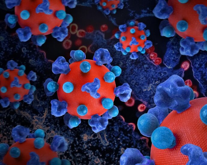 Photo autoimmune diseases