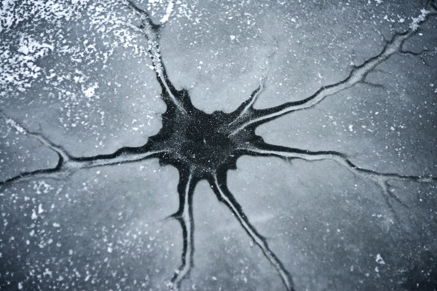 neurological diseases