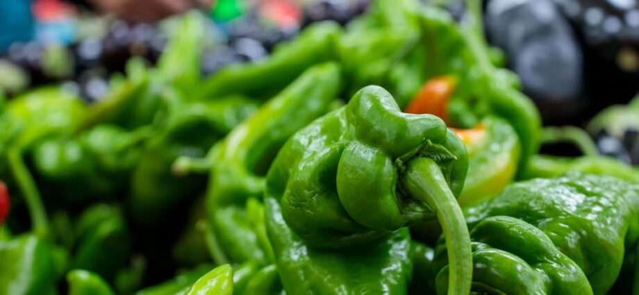 Photo healthy choices