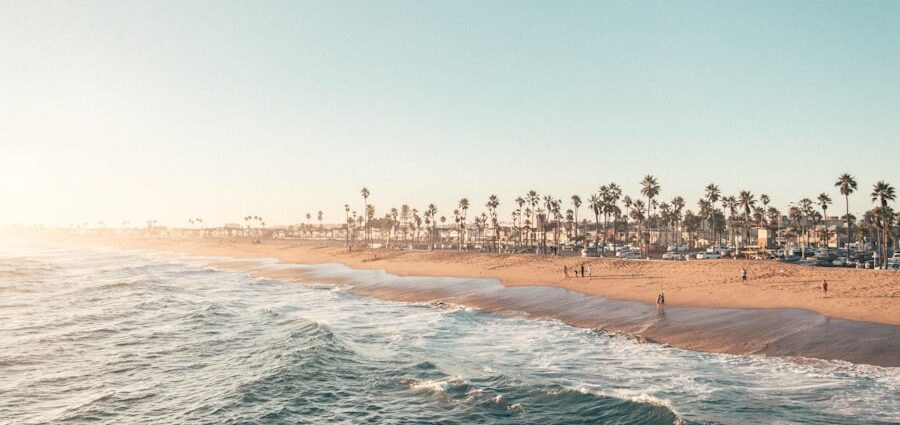 Photo smoothie detox recipes