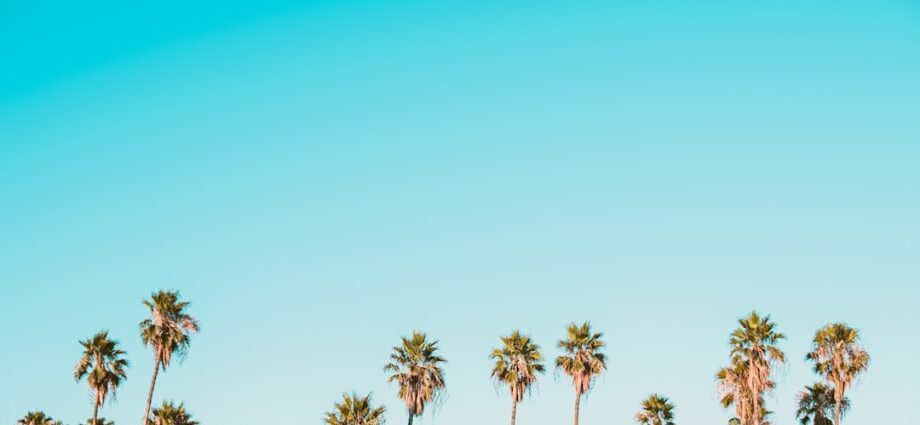 Photo Exercises for shoulders and arms at home