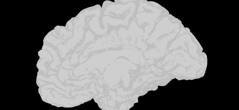 Photo neurological diseases