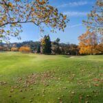 Photo adormi mai repede