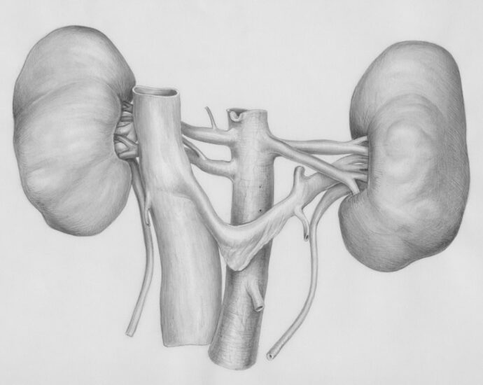 Photo urinary system diseases
