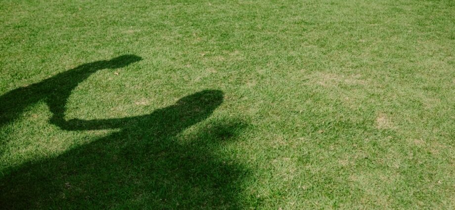 Photo exerciții pentru spate