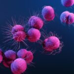 Photo oncological diseases