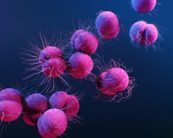 Photo oncological diseases