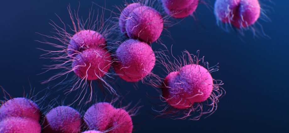 Photo oncological diseases