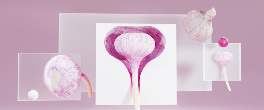 Photo oncological diseases