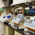 Photo hormonal analysis