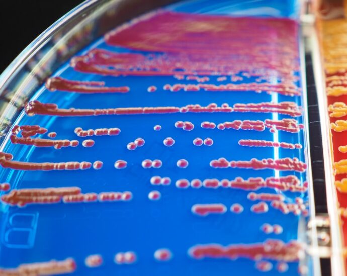 Photo early detection