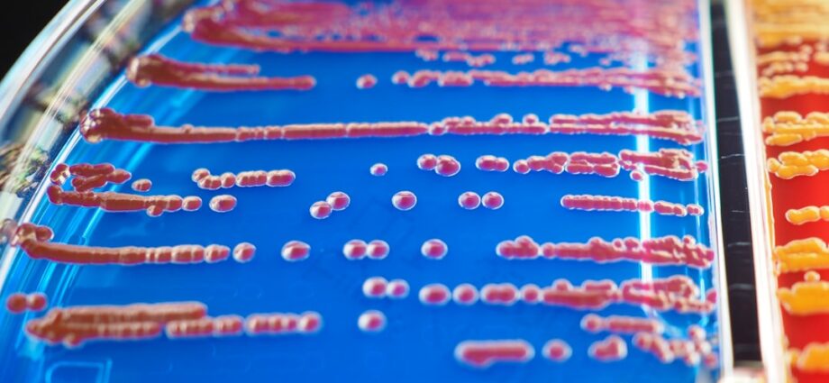 Photo early detection