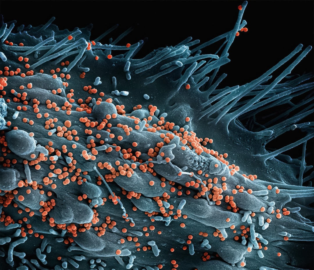 Photo intestinal microbiome