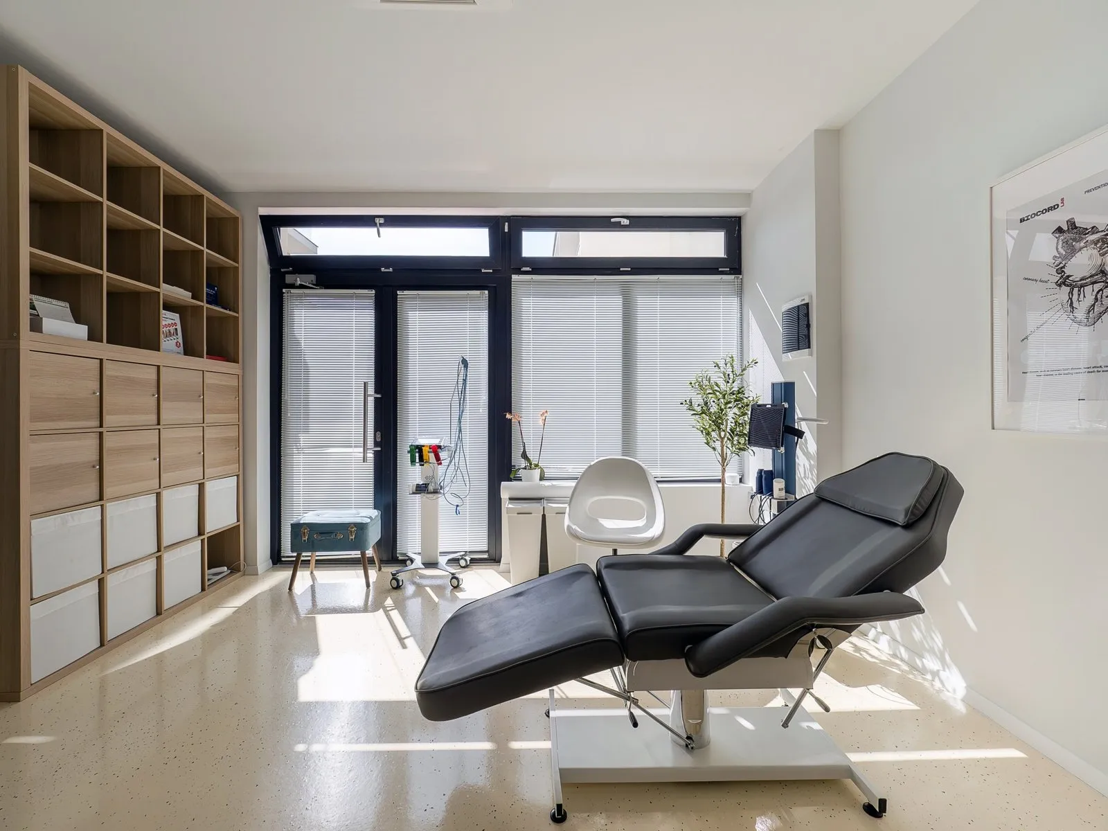 Ce arată o ecocardiografie și când are sens să o faci dacă ai tensiune mare, diabet sau colesterol c