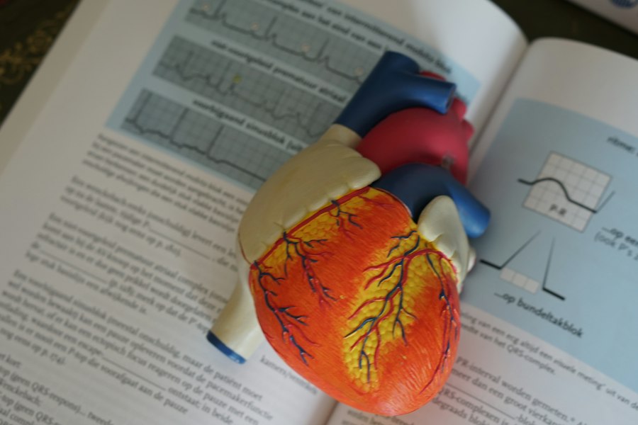 Photo cardiovascular disease prevention infographic